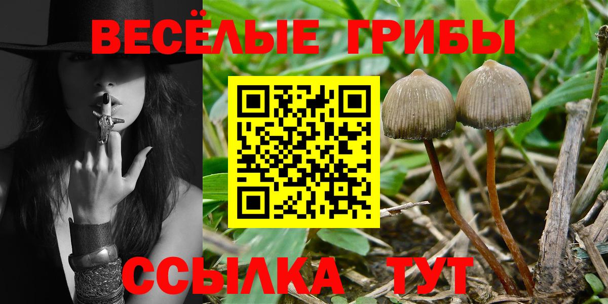 Галлюциногенные грибы Cubensis Ейск