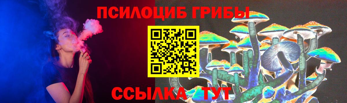 Псилоцибиновые грибы Psilocybe  Вход с VPN  Ейск  Галлюциногенные грибы Psilocybine cubensis 